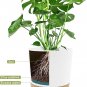 Plant Pots Set of 2 Pack 10 Inch,Planters for Indoor Plants with Drainage Holes