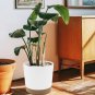 Plant Pots Set of 2 Pack 10 Inch,Planters for Indoor Plants with Drainage Holes