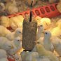 Farmers' Helper Baby Cake Specially Formulated Food for Baby Chickens, Turkeys,