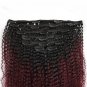 Virgin Human Hair Afro Kinky Curly Clip in Hair Extensions 120 Gram 7 Pieces Hum