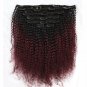 Virgin Human Hair Afro Kinky Curly Clip in Hair Extensions 120 Gram 7 Pieces Hum