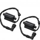2PCS Ignition Coil Replacement for 285 320 345 425 445 F725 F911 GX345 LX178 LX1