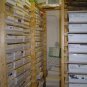 NBA Basketball Card Collector Box with over 500 Cards - Grab Box Lot - Warehouse