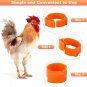 300 PCS Chicken Leg Bands, 3 Colors Chicken Leg Rings, Numbered Poultry Leg Foot
