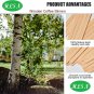 Wooden Coffee Stirrers 5.5" Coffee Stir Stirrers 1000 Pcs, Natural Birch round E