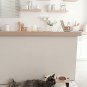 Elevated Cat Ceramic Bowls Stand for Food and Water, Small Dog, anti Vomit, Indo
