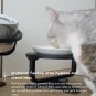 Adjustable Raised Cat Food Bowl, Tilted Elevated Bowl (2-Pack, Black)