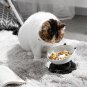 Cat Slow Feeder, Elevated Cat Food Bowl Tilted Design, Dog Slow Feeder Bowl No B