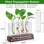 House Warming Plant Gifts New Home Women, Housewarming Gift for Plant Lovers, Fi