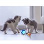Interactive Cat Ball Toys, Peppy Pet Ball for Cat / Small Dog, Automatic Rolling