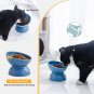 Ceramic Tilted Raised Cat Food and Water Bowl Set, Elevated Stress Free Feeding