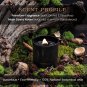 Scented Candle, Wood Wick, 7.4 Oz, Black - Luxurious, Powerful Manifestation Can