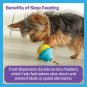Brightkins Small Cupcake Treat Dispenser for Dogs - Interactive Dog Toys, Dog Bi