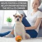 IQ Treat Ball Interactive Food Dispensing Dog Toy , Assorted Colors