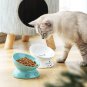 Ceramic Raised Cat Bowls, Slanted Cat Dish Food or Water Bowls, Elevated Porcela