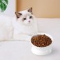 Elevated Cat Food Bowl, 5 Oz Ceramic Raised and Tilted Pet Water Bowl, anti Vomi