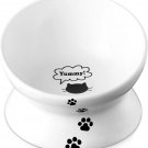 Cat Bowl anti Vomiting, Raised Cat Food Bowls, Tilted Elevated Cat Bowl, Ceramic