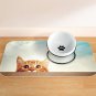Elevated Cat Bowl, Ceramic Bowl Raised with Stand Lifted Slanted Tilted Ergonomi
