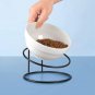 Elevated Cat Bowl, Ceramic Bowl Raised with Stand Lifted Slanted Tilted Ergonomi