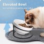 Elevated Cat Bowl, Ceramic Bowl Raised with Stand Lifted Slanted Tilted Ergonomi
