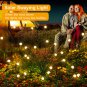 Solar Swaying Light, Solar Garden Lights, New Upgraded 8LED, 2 Modes Solar Firef