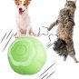 Moving Cat Toy Ball, Sports for Indoor Cats Activate Hunting Instincts, 0.2MM Th