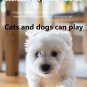 Moving Cat Toy Ball, Sports for Indoor Cats Activate Hunting Instincts, 0.2MM Th