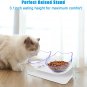 Cat Bowls Elevated Cat Food Water Bowls Set, 15° Tilted Raised Cat Bowls, anti V