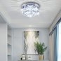 Modern LED Ceiling Light Flush Mount Crystal Chandelier 3 Color Light Fixture Ce