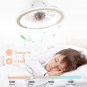 HUMHOLD Modern 19" Ceiling Fan with Lights and Remote Control, Reversible Quiet