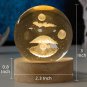 Seashell Décor with Pearl 3D Night Lamp Gifts, Small Shell Ocean Decor for Teens