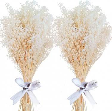 Dried Flowers Baby'S Breath Bouquet - 3000+ Pure White Dried Babys Breath Bulk,