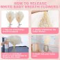 Dried Flowers Baby'S Breath Bouquet - 3000+ Pure White Dried Babys Breath Bulk,