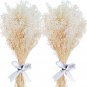 Dried Flowers Baby'S Breath Bouquet - 3000+ Pure White Dried Babys Breath Bulk,