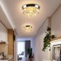 Cainjiazh Mini Chandelier LED Crystal Ceiling Light 2 Layers round Flush Mount C