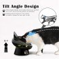 Raised Food Bowls anti Vomiting,Tilted Elevated Ceramic Bowl for Flat-Faced Cats