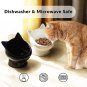 Raised Food Bowls anti Vomiting,Tilted Elevated Ceramic Bowl for Flat-Faced Cats