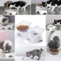MILIFUN Cat Food Bowls Elevated Tilted, anti Vomiting Orthopedic Kitty Bowls for