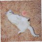 2Pcs Kitten Gravity Wisdom Motorized Cat Toys Pet Toys Catnip Toys for Cats Smal