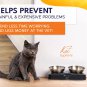 Tilted Cat Food Bowls - Raised Cat Food Bowls, anti Vomiting Cat Bowl Set, Stain