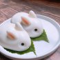 Bunny Shaped Silicone Mould, 2 Pack of 3D Easter Rabbit Chocolate Molds for Baki