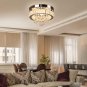 FRIXCHUR 11.8" Dimmable Modern Crystal Chandelier Flush Mount Crystal Ceiling Li