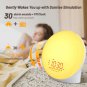 Wake up Light Sunrise Alarm Clock Sleep Aid Sunrise Sunset Simulation Dual Alarm