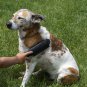 Furemover Plus, Rubber Pet Hair Remover Brush, Black with Gentle Bristles for Gr