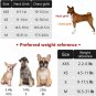 No Pull Floral Pattern Dog Harness- Lightweight and Soft Dog Harness, Adjustable