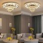 W24'' Modern Crystal Chandeliers Living Room Crystal Ceiling Chandeliers Crystal