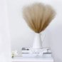 Faux Pampas Grass, 6Pcs 17 Inch Artificial Pampas Grass Fluffy Pompous Grass Flo
