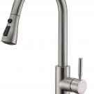 WEWE Single Handle High Arc Brushed Nickel Pull Out Kitchen Faucet,Single Level
