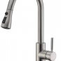 WEWE Single Handle High Arc Brushed Nickel Pull Out Kitchen Faucet,Single Level