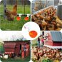 5Pc Large Automatic Chicken Waterer Cups with 1/2" PVC Tee Fitting Chicken Water